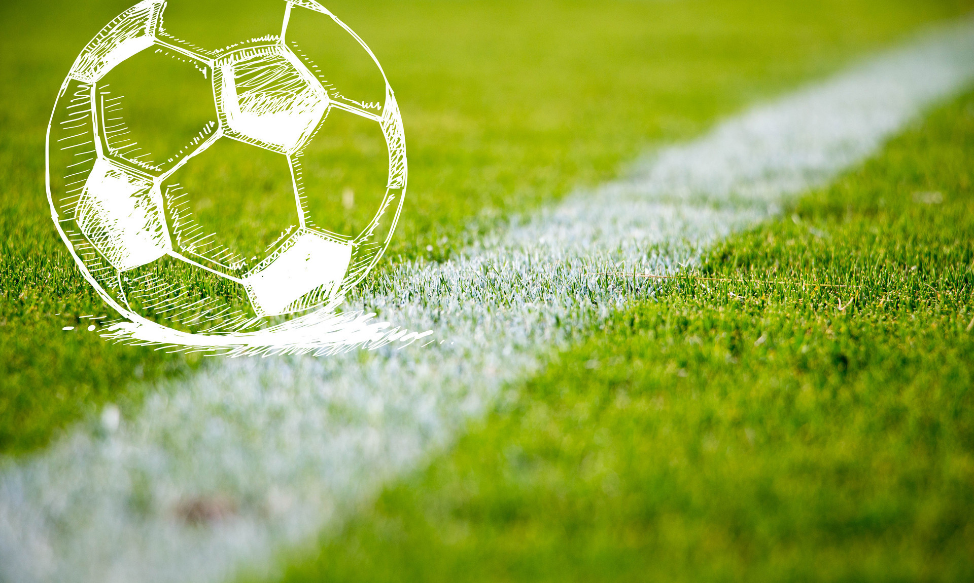 在比赛中 在比赛中