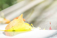 场上表现得 场上表现得