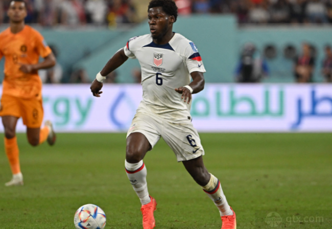 猛龙建队以 猛龙建队以